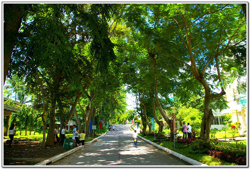 Road to Cavite State University